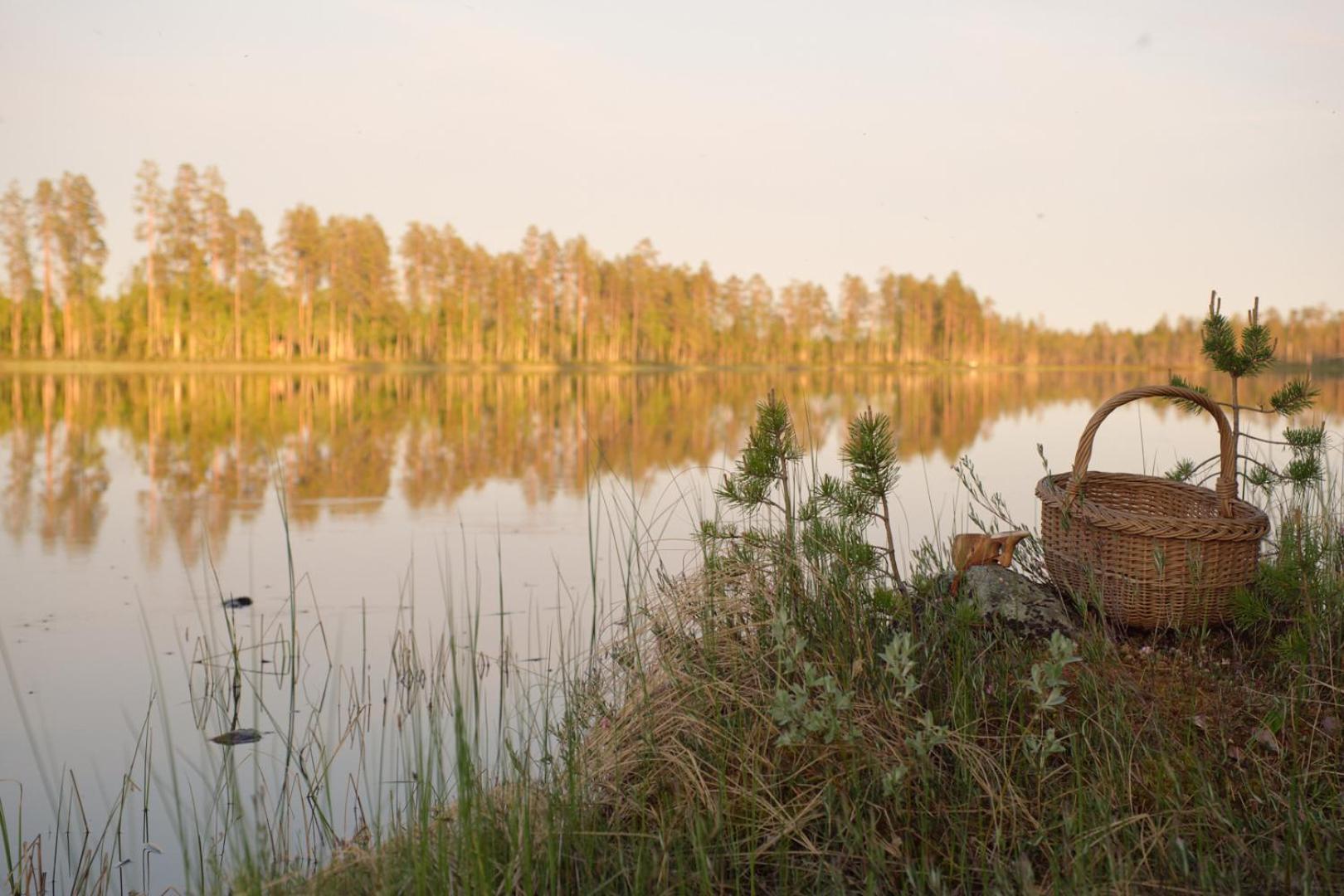 ホテル Langforsen Glamping & Lapland Experience Lapptrask エクステリア 写真