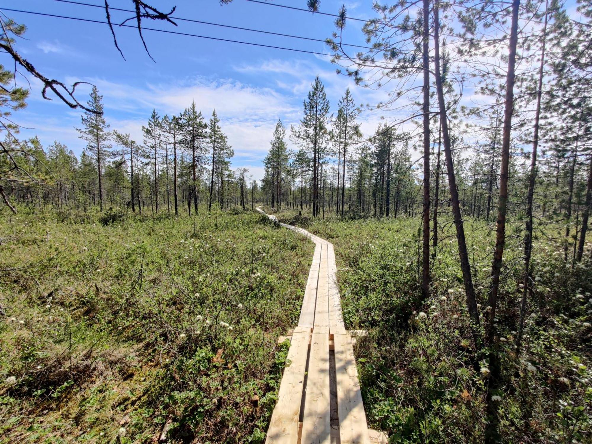 ホテル Langforsen Glamping & Lapland Experience Lapptrask エクステリア 写真