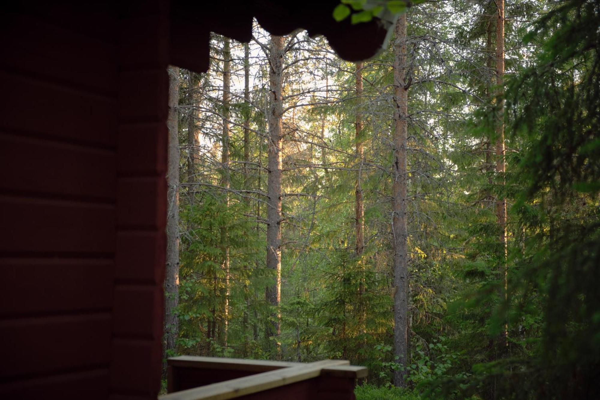 ホテル Langforsen Glamping & Lapland Experience Lapptrask エクステリア 写真